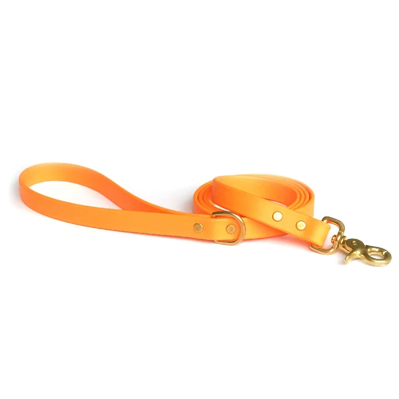 Orange Leash