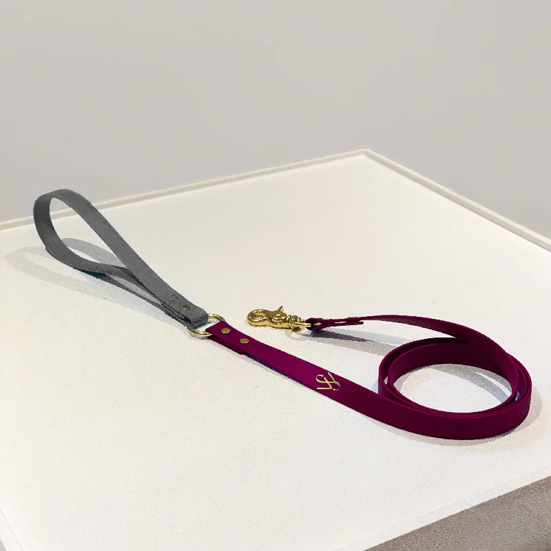 Burgundy and Grey Leash