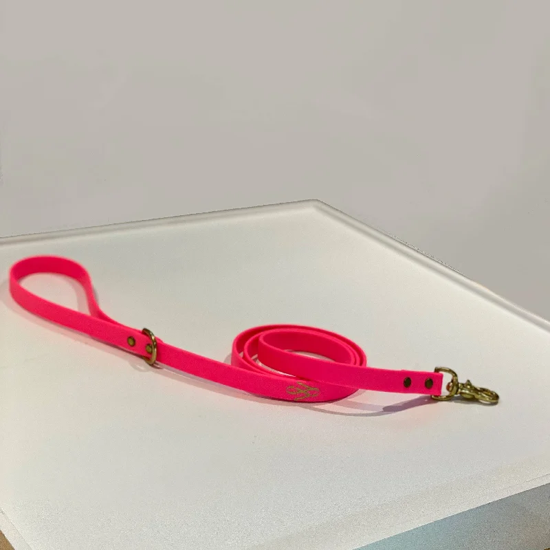 Neon Pink Leash