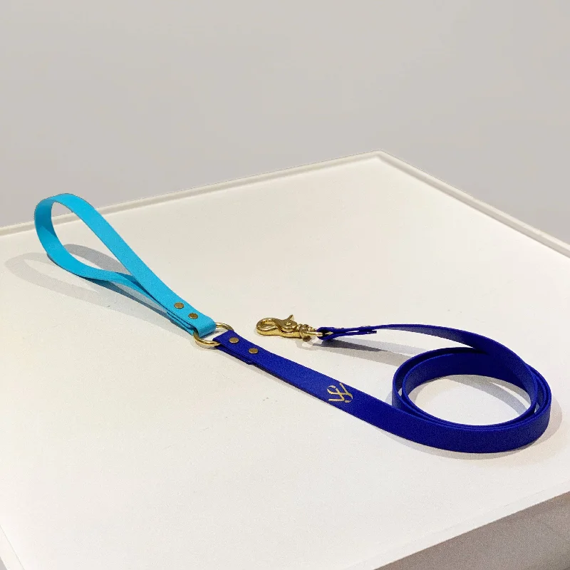 Royal and Baby Blue Leash